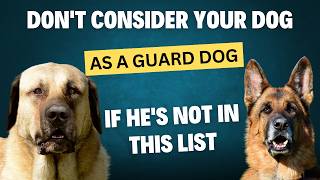 Top 20 Guard Dogs The Ultimate Protectors [upl. by Hook8]