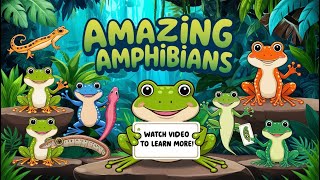 quotAmphibians Explained in 2 minutes Incredible Creatures Living Between Water amp Landquot [upl. by Noteek]