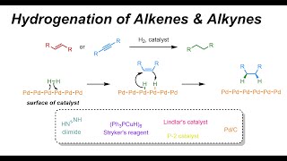 Hydrogenation of Alkenes amp Alkynes IOC 32 [upl. by Werby]