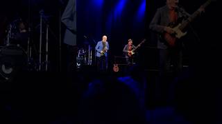 Average White Band live from San Diego 2 [upl. by Ailegna863]