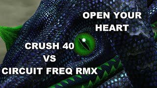 SONIC KARAOKE INSTRUMENTAL Sonic Generations  Open your heart Crush 40 vs Circuit Freq RMX [upl. by Suirtemid]