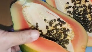 🔴Live Peeling and cutting fruits papaya pomelo and 🍌🍌 [upl. by Eberta]