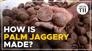 How is palm jaggery made  The Hindu [upl. by Sublett]