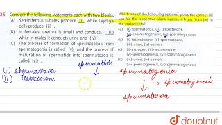 Consider the following statements each with two blanks [upl. by Llekim]