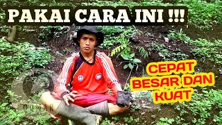 CARA MENANAM BIBIT INDIGOFERA AGAR KUAT DAN CEPAT BESAR [upl. by Zednanref708]