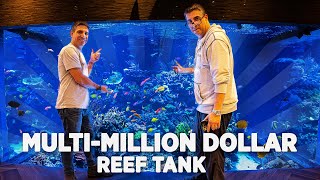 WWC Visits The Largest Private Reef Tank in America [upl. by Oivat]