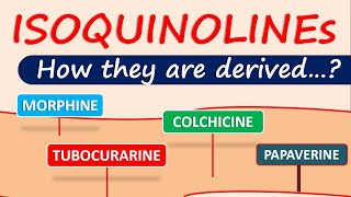 Isoquinoline alkaloids and drugs  How they are derived in plants [upl. by Brodsky617]