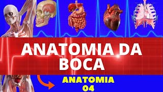 ANATOMIA DA BOCA CAVIDADE ORAL E SUAS ESTRUTURAS  SISTEMA DIGESTÓRIO [upl. by Enitsenre871]