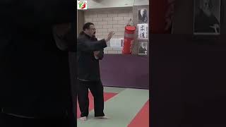 steven seagal aikido [upl. by Nyledam]