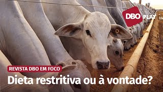 Qual a melhor estratégia nutricional para os animais de recria em confinamento [upl. by Atteynek233]