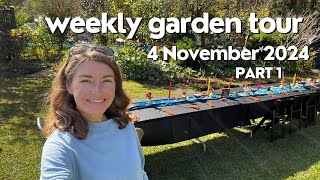 Weekly Garden Tour 3 November 2024 part 1 [upl. by Cerf979]