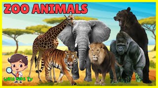 ZOO ANIMALS Names for Kids  Learning Zoo Animals  Educational Videos for Children  Whiz Kids TV [upl. by Eillek32]