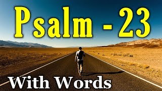 Psalm 23 Reading Finding Peace in the Shepherds Care With words  KJV [upl. by Atinat283]