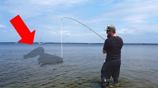 PÊCHE INSOLITE  Au milieu des POISSONS qui CHASSENT rôde un MONSTRE deau douce [upl. by Mendy]