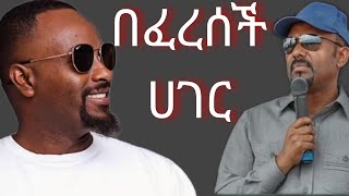 ሳሚ ዳን በፈረሰች ሐገር  SAMI DAN BEFERESECH HAGER  NEW ETHIOPIA REGGAE MUSIC [upl. by Averyl]