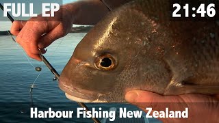 Harbour Fishing New Zealand [upl. by Odlaumor]