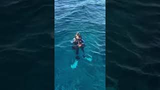 Scuba Diving Molokini on Scooters [upl. by Horn]