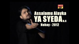 Assalamu Alayka Ya Syeda ع  Nohay 2012  Syed Raza Abbas Zaidi [upl. by Placeeda]