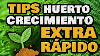 Tips para un CRECIMIENTO más RÁPIDO de tus Plantas 🌱 Vegetales más Rápidos para Huertos Urbanos [upl. by Spada]