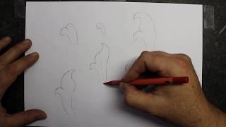 How to draw scroll designs The basics [upl. by Araf]