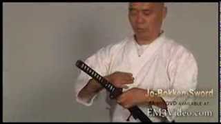 Jo Bokken Sword  MASTERCLASS SAMURAI ARTS [upl. by Isadore]