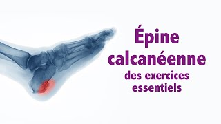 Épine calcanéenne de Lenoir  des exercices essentiels niveau intermédiaire [upl. by Jenna]