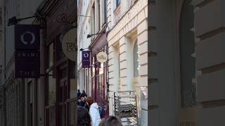 Cookies are best in Lille France braderie [upl. by Harim]