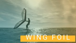 Wing Foil Tutorial  Informazioni e consigli per iniziare a planare [upl. by Inava43]