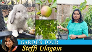 Home Garden Tour in Tamil  Steffis Garden 2023  Steffi Ulagam [upl. by Patnode]