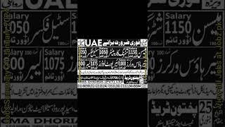 Latest Private amp Govt Jobs in Pakistan 24 January 2024 [upl. by Edme228]