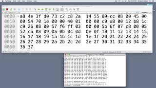 How computers use bits and bytes to talk to each other [upl. by Adnahsal]