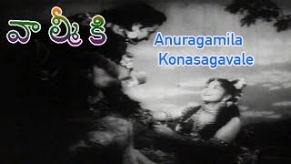 Anuragamila Konasagavale Song from Valmiki Telugu Movie  NTRLeelavathiKantha Rao [upl. by Enelyam]