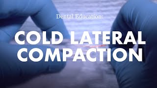 Endodontics Cold Lateral Compaction Demonstration [upl. by Mungo378]