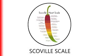 SCOVILLE SCALE [upl. by Dyal]