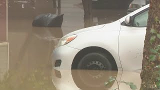 Sycamore Court area in Guerneville hit by flooding from heavy overnight rain [upl. by Nwahsav]