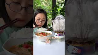 Chef Cat ChangAn😼：Im Going To Start Eating FishYummy catofyoutube CuteCatTikTok Shorts [upl. by Leela]