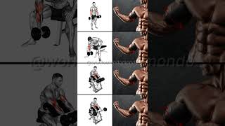 SHORT HEAD BICEP EXERCISES Build BIGGER Upper Arms FAST [upl. by Ynaffi731]