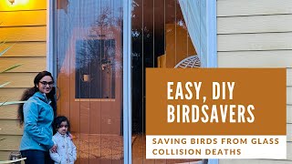 Easy DIY BirdSavers Saving Birds from Glass windowdoor collision deaths [upl. by Lalita]