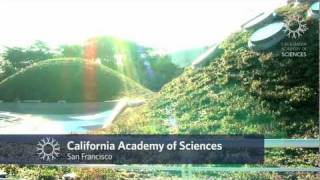 Travel to California Academy of Sciences [upl. by Ojeitak]