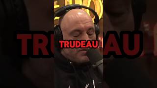 Joe rogan reacts to Trudeau getting donations from CHINA [upl. by Waite]