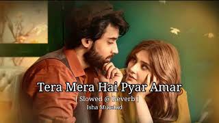 Tera Mera Hai Pyar Amar  Lofi Song And Use Handphone Ahmedjahanzeb [upl. by Kcajyllib]