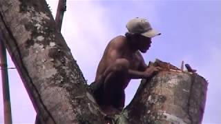 Building and sailing a jukung the traditional outrigger sailing canoe from Bali [upl. by Aticilef]