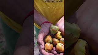 💥🤯கிராமத்து கிலுகிலுப்பை⁉️ Baby toy making  abithaakk babytoys villagelife shortsfeed shorts [upl. by Ecinwahs432]