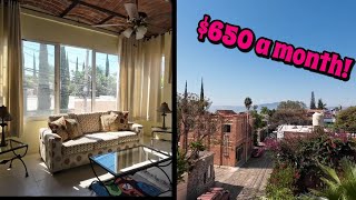 Ajijic Real Estate Tour  3 apartment complex for sale [upl. by Nata]