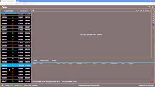 Fortex WebTrader Demo [upl. by Yelnikcm]