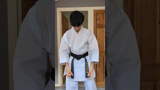 Tokaido Kata Master Japan Style Karate Gi karate tokaido [upl. by Branca]