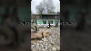 Best Zoos in the World part  4 shorts [upl. by Millman]