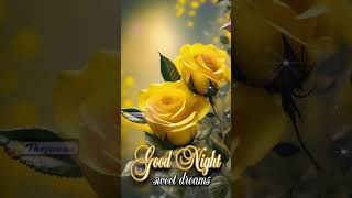 Good night video [upl. by Sirod]