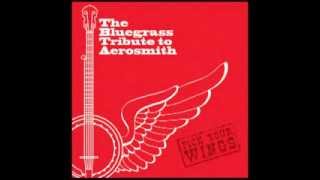 Janies Got A Gun  The Bluegrass Tribute to Aerosmith Pick Your Wings [upl. by Windsor]