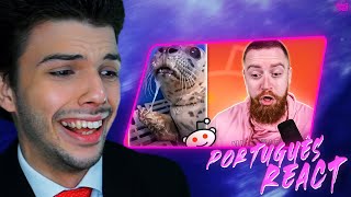 animais sendo BOBOS  LubaTV SALVATORE REACT [upl. by Purdum]